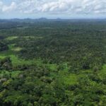 listing image thumbnail with ID 65230