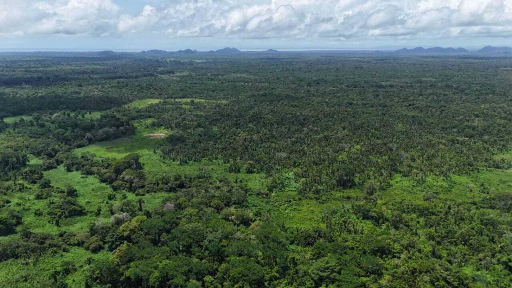 listing image with ID 65230