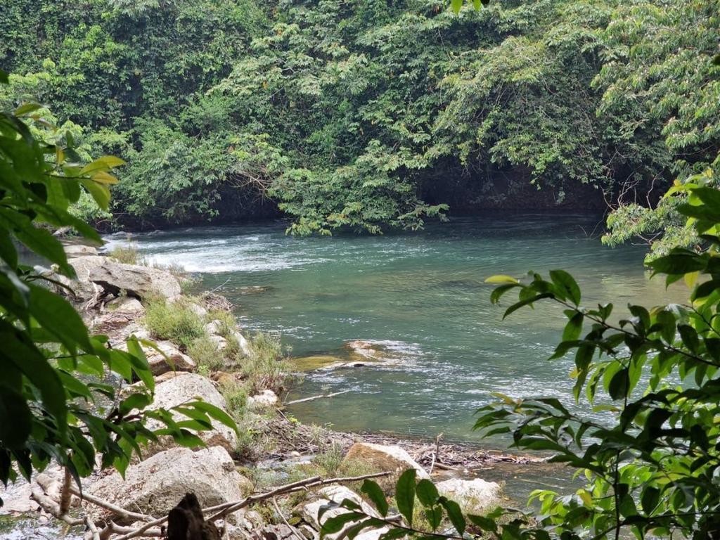 listing image with ID 66255