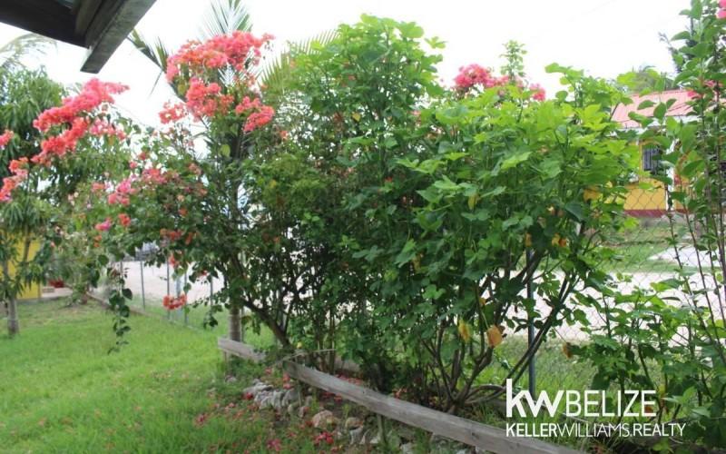 listing image with ID 68435