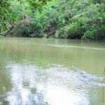 listing image thumbnail with ID 67706