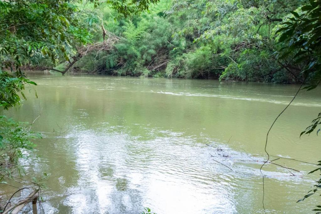 listing image with ID 67706