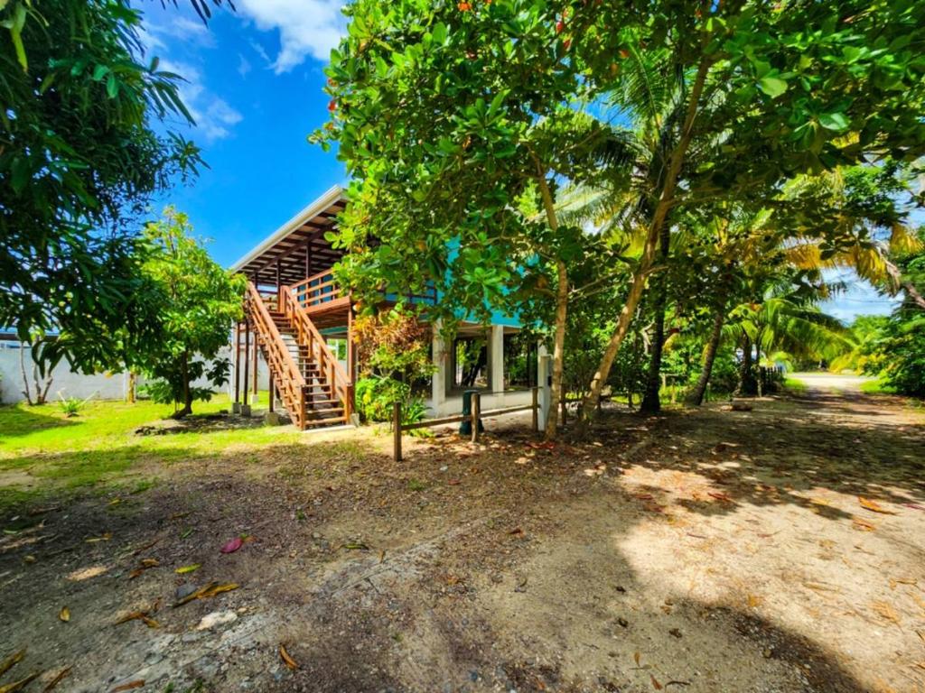 listing image with ID 64695