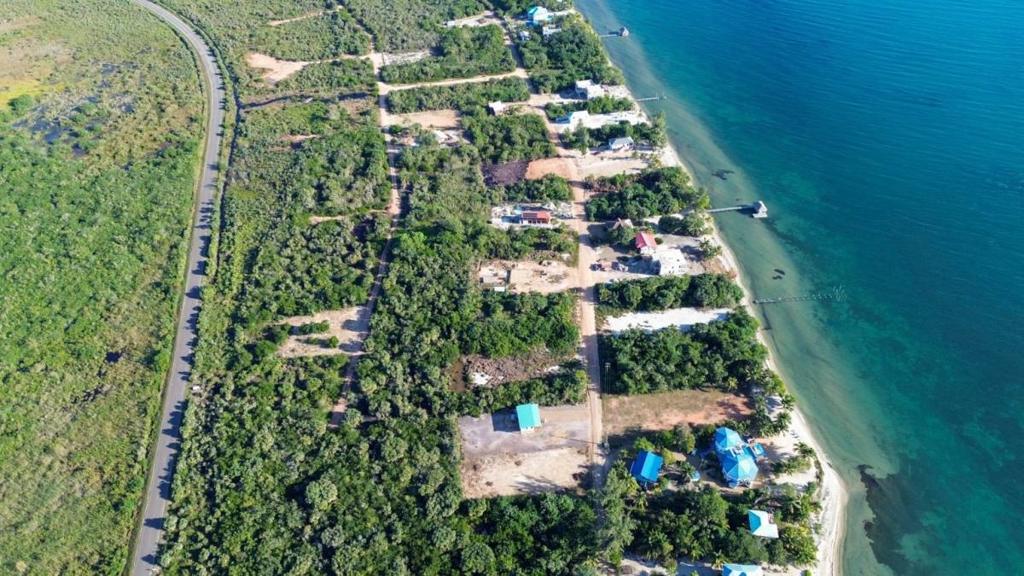 listing image with ID 67815