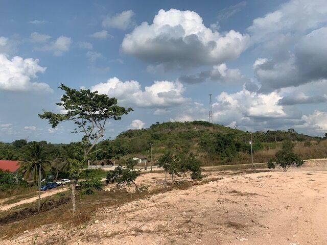 listing image with ID 65203