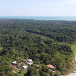 listing image thumbnail with ID 64926