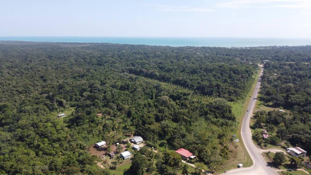 listing image with ID 64926