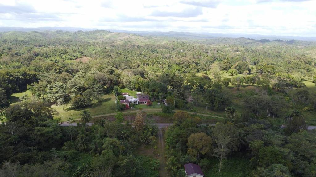 listing image with ID 64248