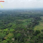 listing image thumbnail with ID 69168