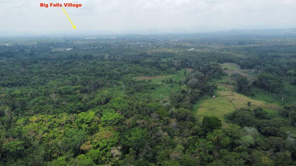 listing image with ID 69168