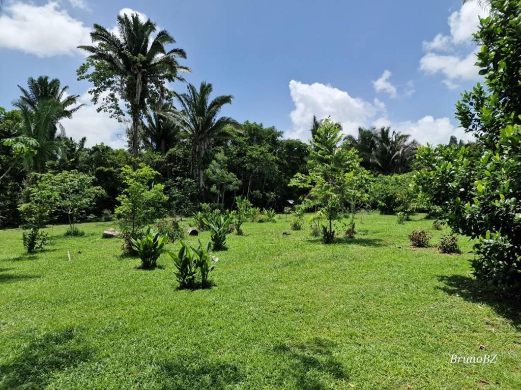 listing image with ID 67907