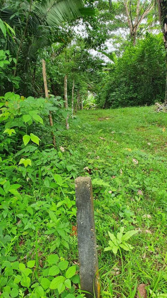 listing image with ID 66293