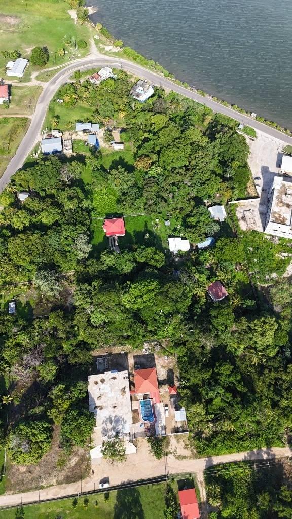 listing image with ID 64712