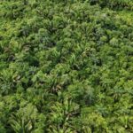 listing image thumbnail with ID 66671