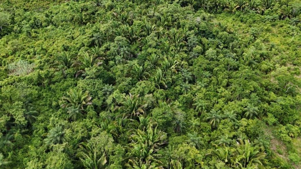 listing image with ID 66671