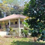 listing image thumbnail with ID 65572