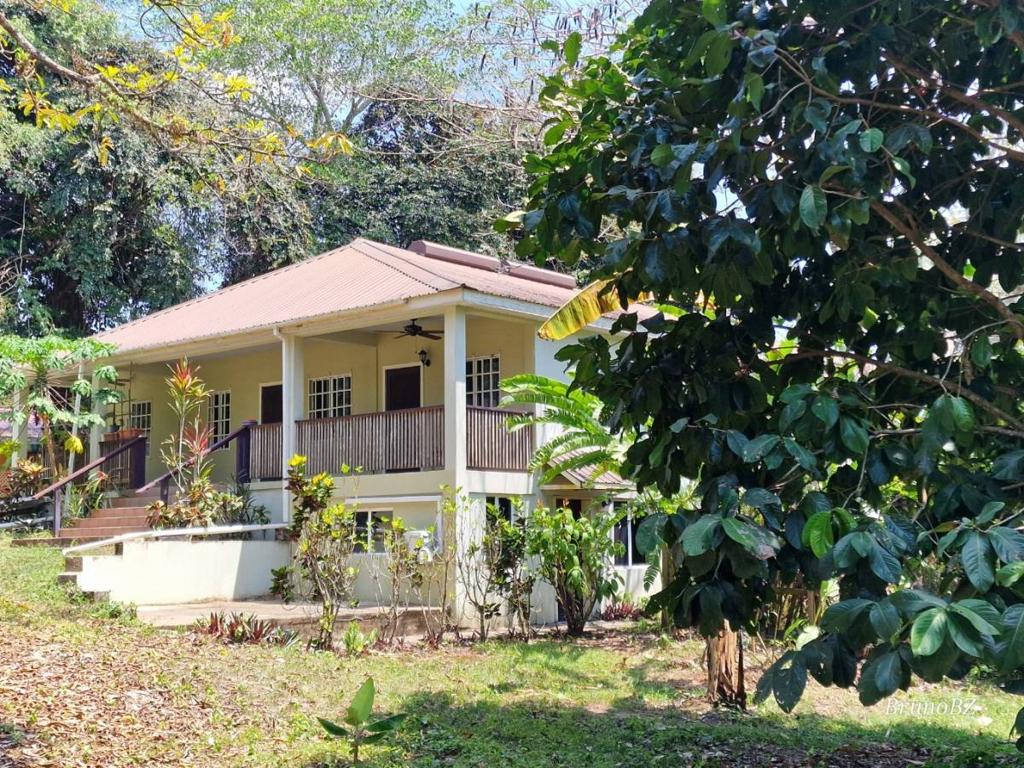 listing image with ID 65572