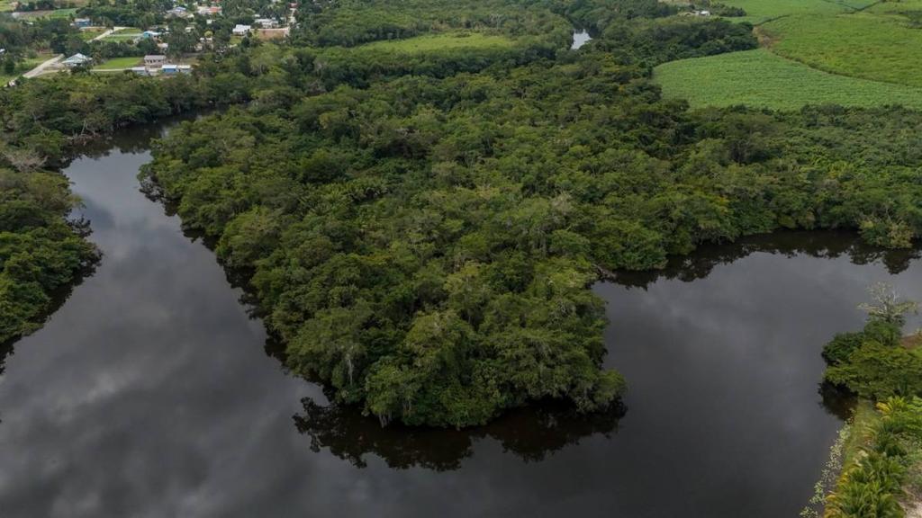 listing image with ID 68836