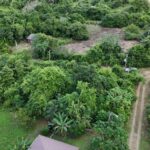 listing image thumbnail with ID 67154