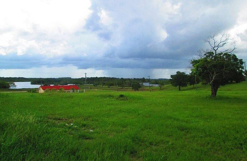 listing image with ID 65712