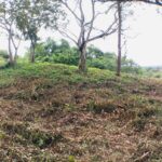 listing image thumbnail with ID 65144