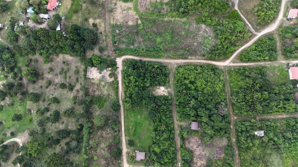 listing image with ID 64118