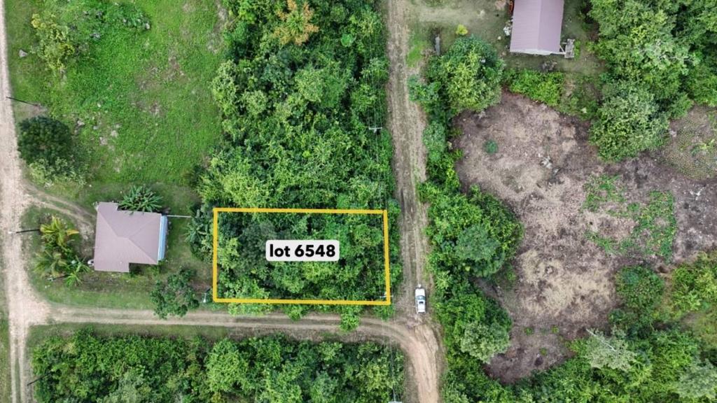 listing image with ID 67151