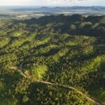 listing image thumbnail with ID 66898