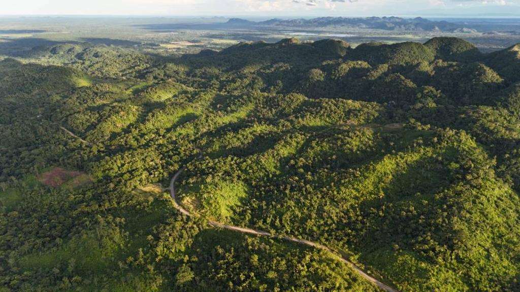 listing image with ID 66898