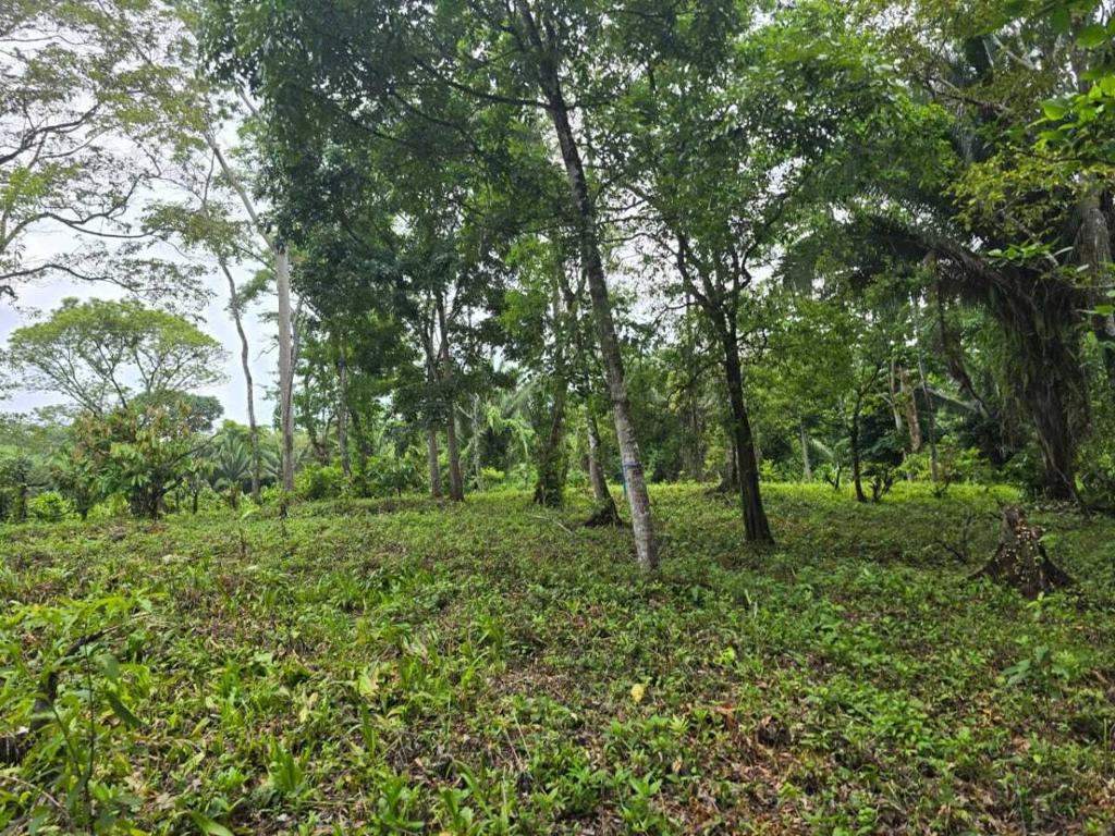 listing image with ID 65235