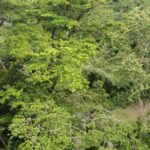 listing image thumbnail with ID 66281