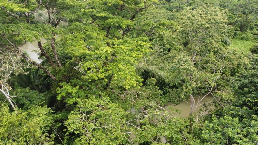 listing image with ID 66281