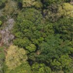 listing image thumbnail with ID 65124