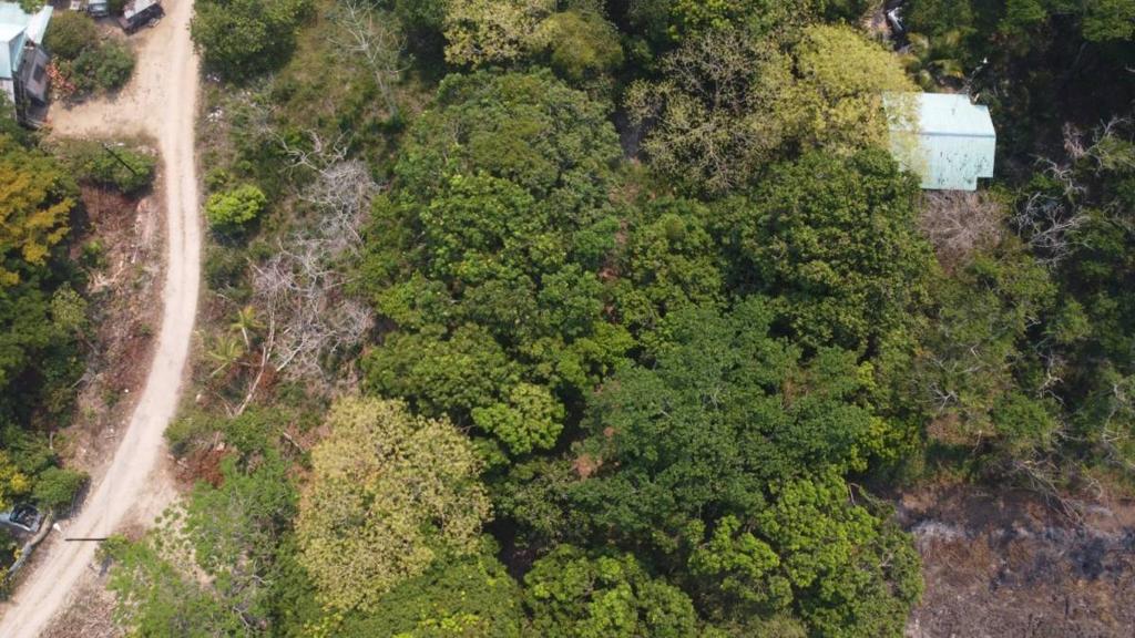 listing image with ID 65124