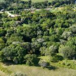 listing image thumbnail with ID 68473