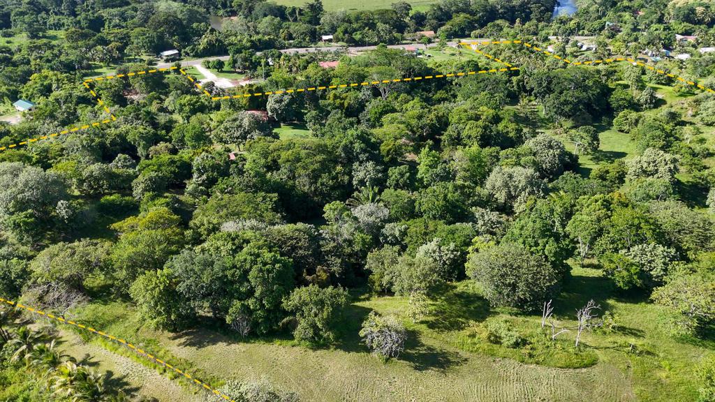 listing image with ID 68473