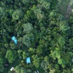 listing image thumbnail with ID 66887