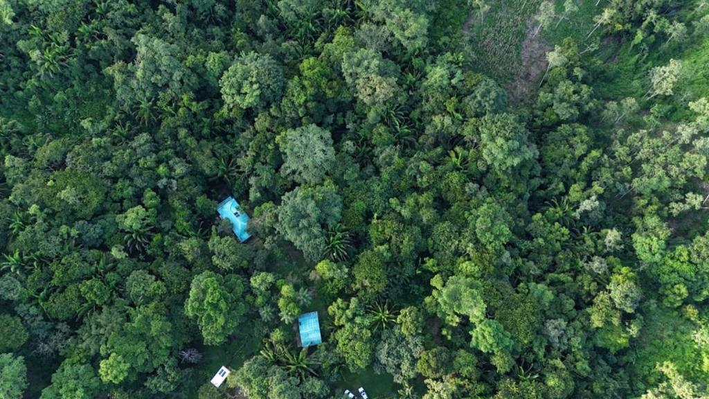 listing image with ID 66887