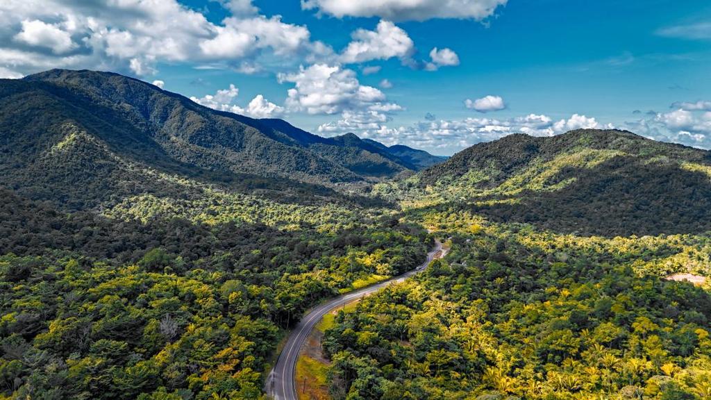 listing image with ID 63910