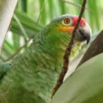 listing image thumbnail with ID 67459