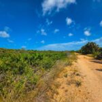 listing image thumbnail with ID 68181