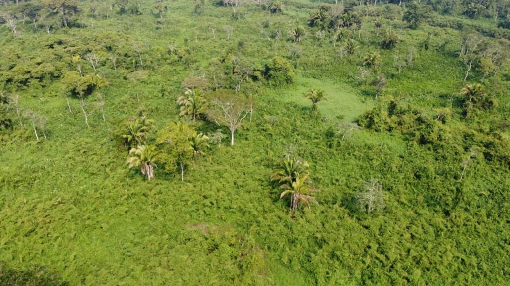 listing image with ID 64184