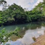 listing image thumbnail with ID 67349