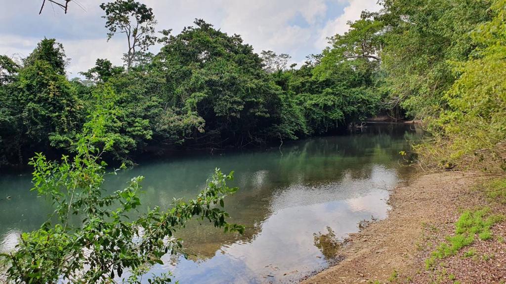 listing image with ID 67349