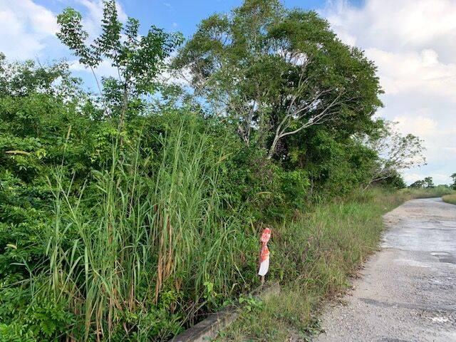 listing image with ID 65024