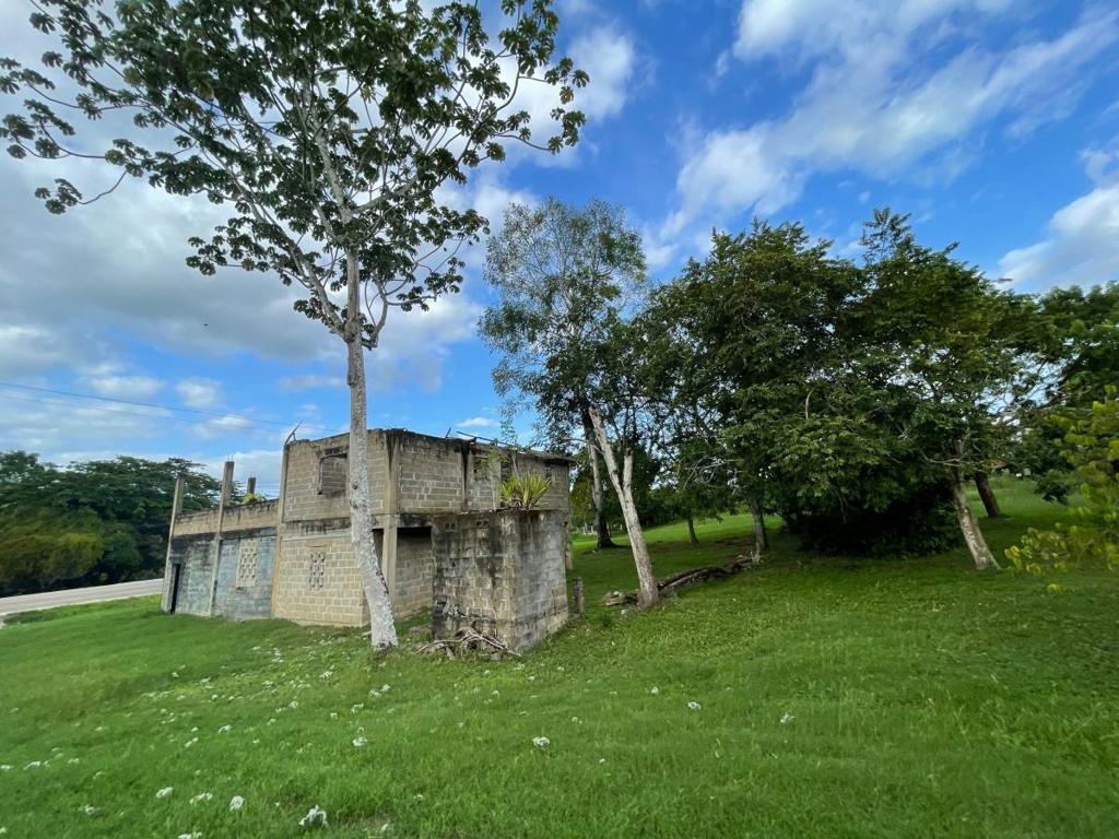 listing image with ID 66697