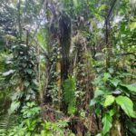 listing image thumbnail with ID 64864