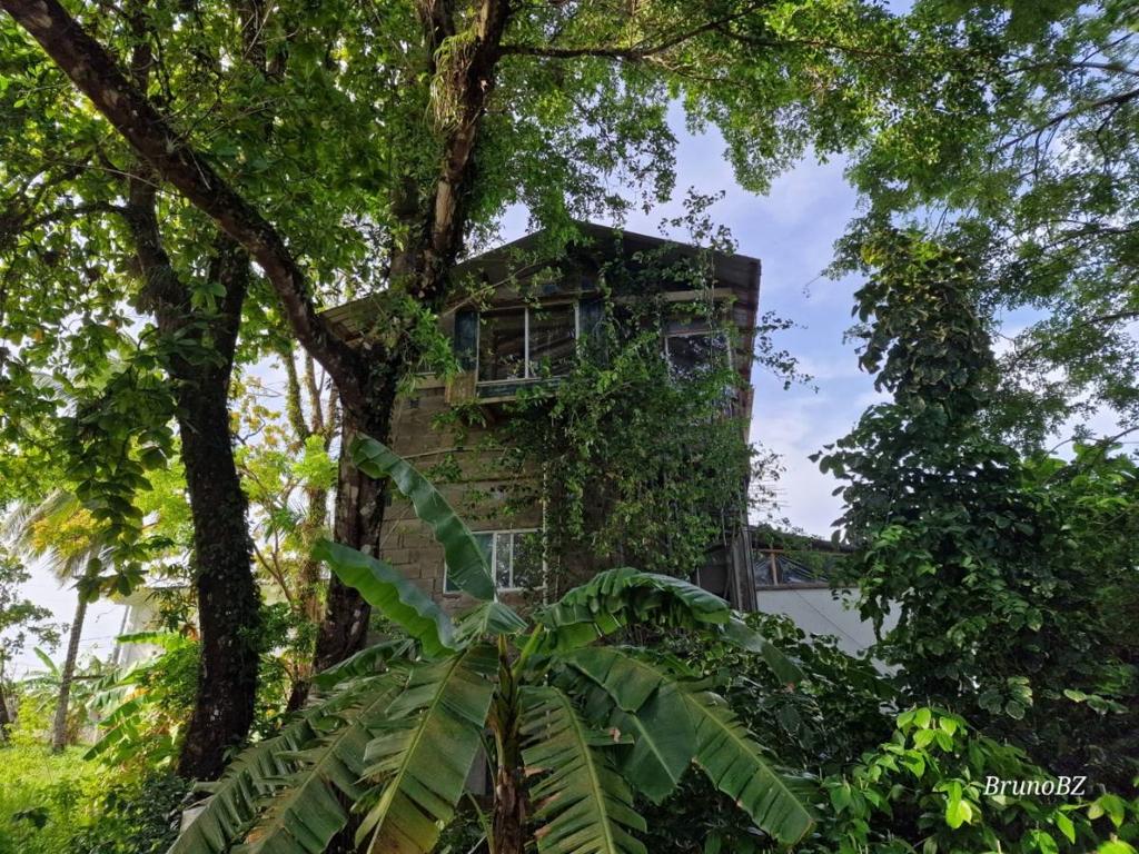 listing image with ID 64092