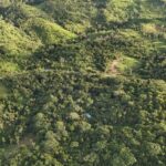 listing image thumbnail with ID 66900