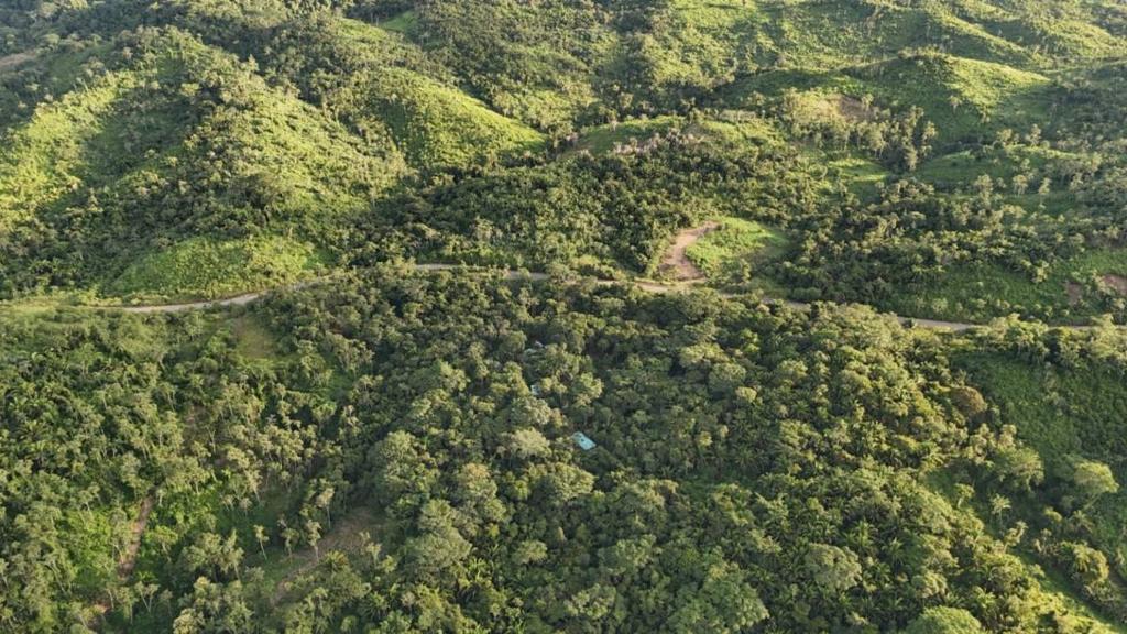 listing image with ID 66900